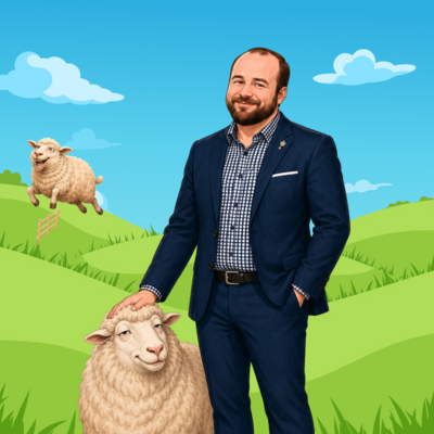 sheep.jpg